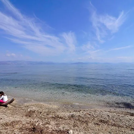 Ago Exclusive * コルフ島